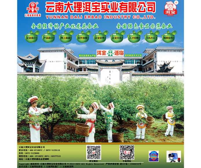 云南網(wǎng)站建設(shè)、昆明網(wǎng)站建設(shè)、云南網(wǎng)站制作、昆明網(wǎng)站制作、云南微網(wǎng)站制作、云南網(wǎng)站優(yōu)化推廣、大理網(wǎng)站建設(shè)、麗江網(wǎng)站建設(shè)、大理網(wǎng)站制作、麗江網(wǎng)站制作、保山網(wǎng)站建設(shè)、德宏網(wǎng)站建設(shè)、文山網(wǎng)站建設(shè)、楚雄網(wǎng)站建設(shè)、紅河網(wǎng)站建設(shè)、云南政府網(wǎng)站建設(shè)、普洱網(wǎng)站建設(shè)